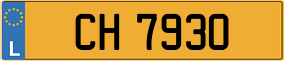 Truck License Plate